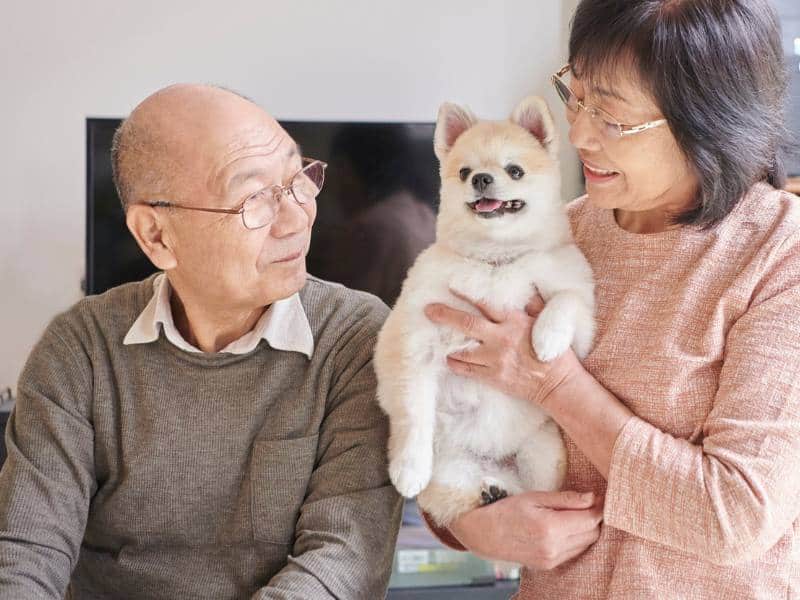 Cute elderly woman with glasses hugging a small Shih Tzu dog, showcasing love and companionship at Three Robins Riverside, St. Albert.